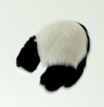 pandabutt